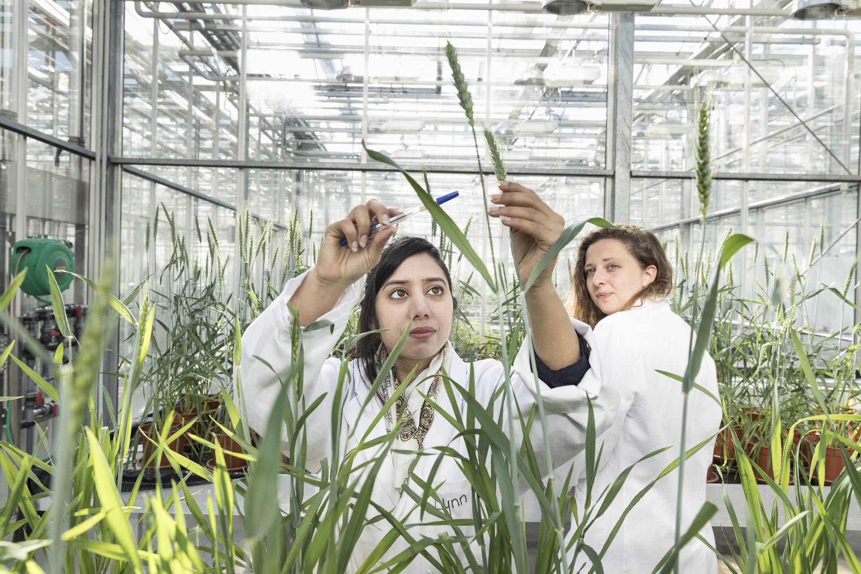 Afbeelding Amsterdams Universiteitsfonds