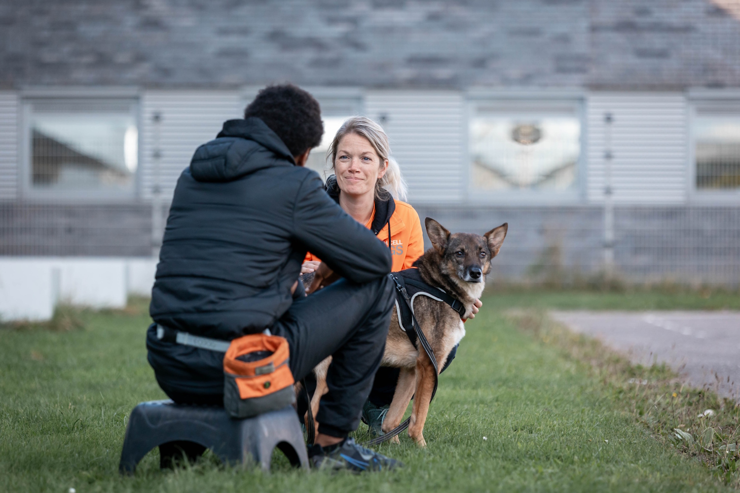 Afbeelding Dutch Cell Dogs