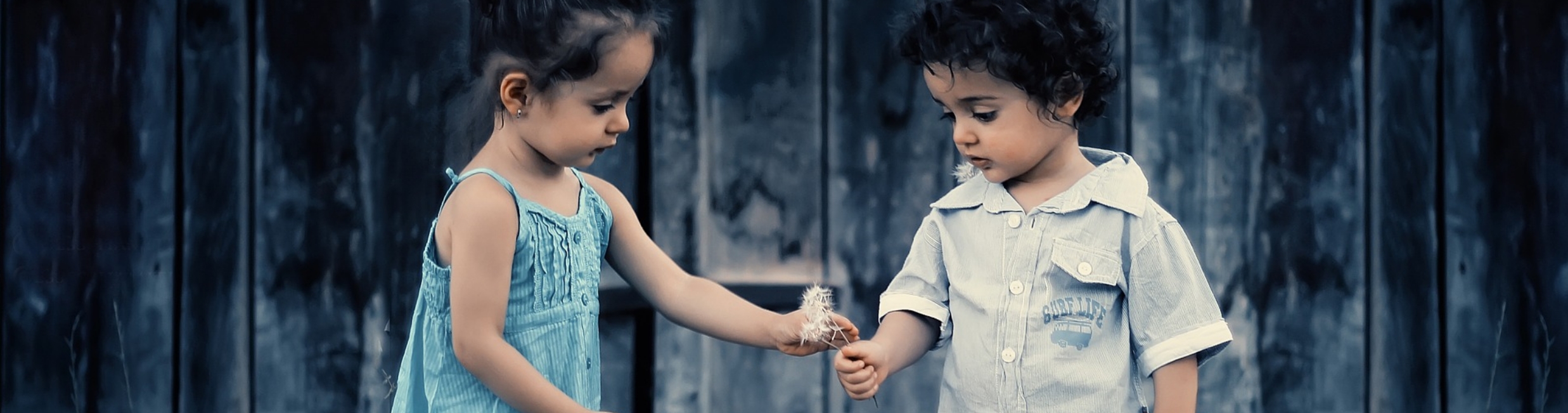 Afbeelding Periodiek Schenken